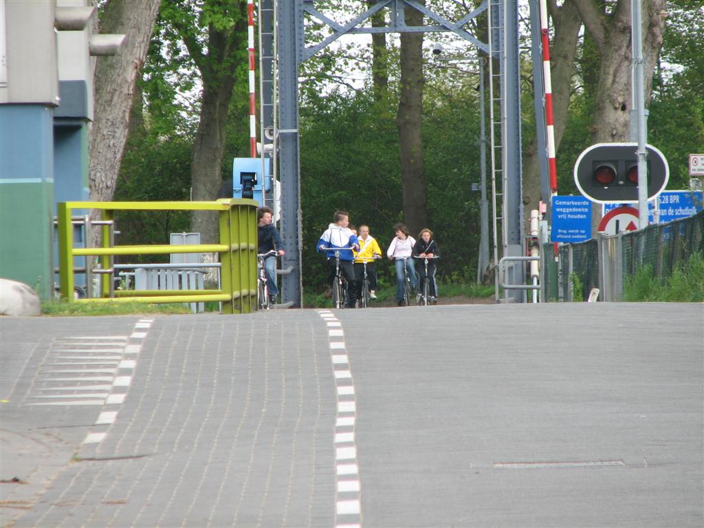 IMG_9835 (Large).jpg